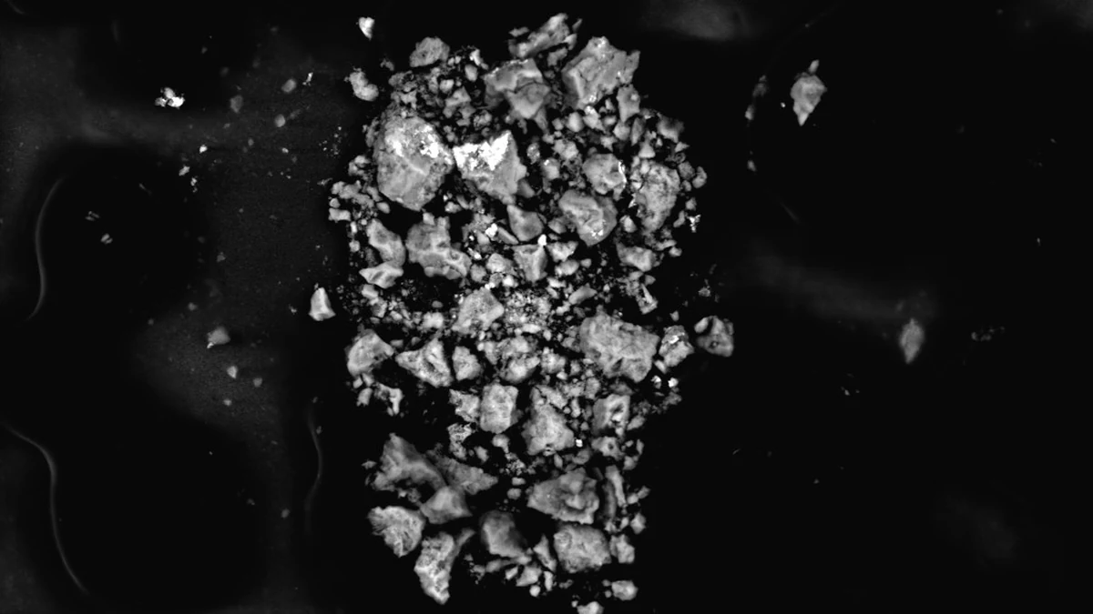 Scanning electron microscope image of more than 1,000 metal particles collected from one 5 mm screwdriver punch through a turbine oil can, analyzed by Spectro | Jet-Care.